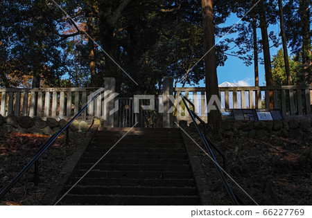 靜岡/山宮淺間神社（富士山本身就是據說是許多淺間神社中最古老的神社） 66227769