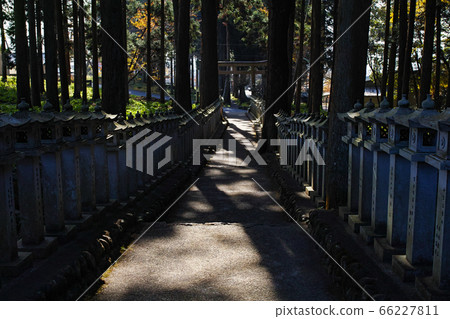 靜岡/山宮淺間神社（富士山本身就是據說是許多淺間神社中最古老的神社） 66227811
