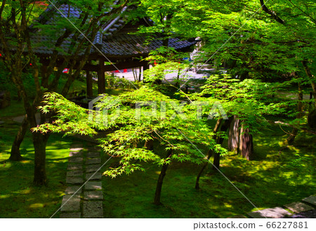 京都Eikando的藍楓 66227881