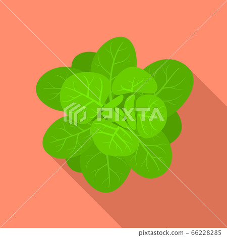 Green spinach icon, flat style Green spinach icon, flat style 66228285