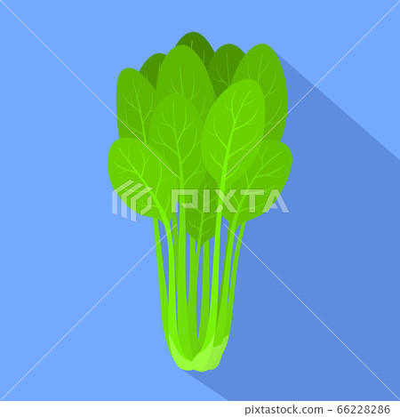 Spinach plant icon, flat style Spinach plant icon, flat style 66228286