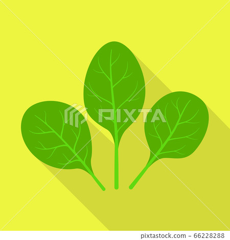 Spinach icon, flat style Spinach icon, flat style 66228288