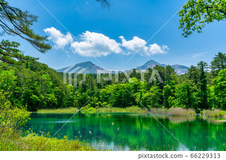 Fresh green scenery of Goshikinuma Nature Exploration Road, Rurinuma and Bandaisan, Kitashiobara Village, Fukushima Prefecture 66229313
