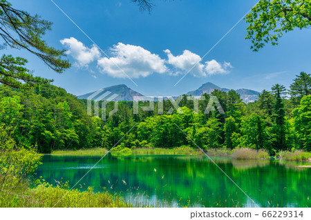 Fresh green scenery of Goshikinuma Nature Exploration Road, Rurinuma and Bandaisan, Kitashiobara Village, Fukushima Prefecture Fresh green scenery of Goshikinuma Nature Exploration Road, Rurinuma and Bandaisan, Kitashiobara Village, Fukushima Prefecture 66229314