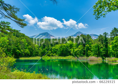 Fresh green scenery of Goshikinuma Nature Exploration Road, Rurinuma and Bandaisan, Kitashiobara Village, Fukushima Prefecture Fresh green scenery of Goshikinuma Nature Exploration Road, Rurinuma and Bandaisan, Kitashiobara Village, Fukushima Prefecture 66229315