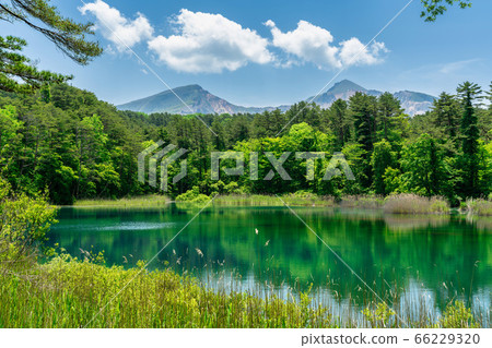 Fresh green scenery of Goshikinuma Nature Exploration Road, Rurinuma and Bandaisan, Kitashiobara Village, Fukushima Prefecture 66229320