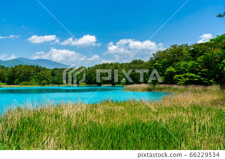 福島縣北尾原村本初沼和西阿祖瑪山初夏的五沼沼自然風景區風景 福島縣北尾原村本初沼和西阿祖瑪山初夏的五沼沼自然風景區風景 66229534