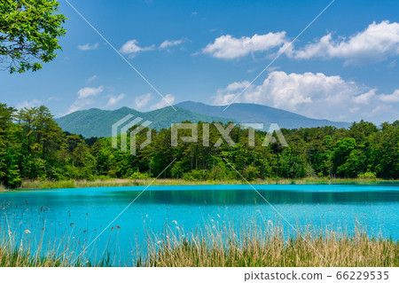 福島縣北尾原村本初沼和西阿祖瑪山初夏的五沼沼自然風景區風景 福島縣北尾原村本初沼和西阿祖瑪山初夏的五沼沼自然風景區風景 66229535