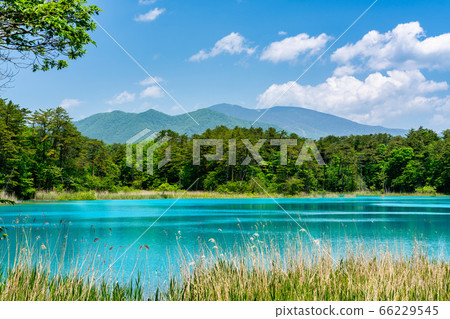 福島縣北尾原村本初沼和西阿祖瑪山初夏的五沼沼自然風景區風景 66229545