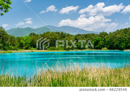Scenery of Goshinuma natural scenic trail in early summer, Bentenuma and Nishi-Azumayama, Kitashiobara Village, Fukushima Prefecture Scenery of Goshinuma natural scenic trail in early summer, Bentenuma and Nishi-Azumayama, Kitashiobara Village, Fukushima Prefecture 66229548