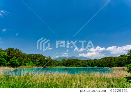 福島縣北尾原村本初沼和西阿祖瑪山初夏的五沼沼自然風景區風景 66229561