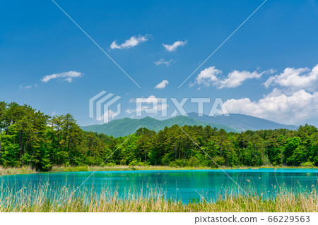 福島縣北尾原村本初沼和西阿祖瑪山初夏的五沼沼自然風景區風景 66229563