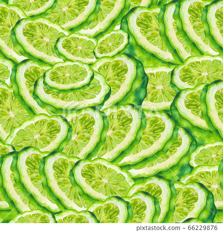 Seamless pattern of watercolor bergamot fruits. Hand painted design 66229876