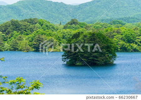 Scenery of Bandai Azuma Lakeline in early summer, Onogawa Lake Island, Kitashiobara Village, Fukushima Prefecture Scenery of Bandai Azuma Lakeline in early summer, Onogawa Lake Island, Kitashiobara Village, Fukushima Prefecture 66230667