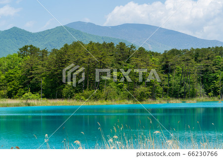 福島縣北尾原村本初沼和西阿祖瑪山初夏的五沼沼自然風景區風景 66230766