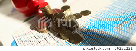 Calculation home budget and accumulation funds. 66231221