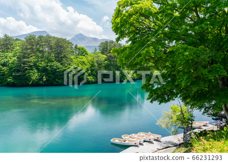 Scenery of Bishamonnuma (Goshikinuma) in early summer Fresh green and lake surface Kitashiobara Village, Fukushima Prefecture 66231293
