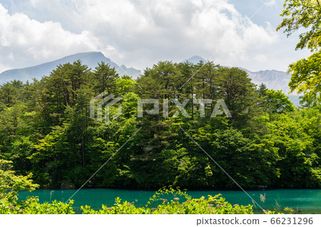 初夏的Bishamonnuma(Goshikinuma)風景福島縣北大原村的鮮綠色和湖面 初夏的Bishamonnuma(Goshikinuma)風景福島縣北大原村的鮮綠色和湖面 66231296