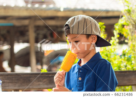 Asian boy are eating grilled corn. Asian boy are eating grilled corn. 66231486