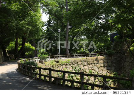 Scenery from Kosei Town, Okazaki City, Aichi Prefecture, fresh green of Okazaki Castle [June] 66231584