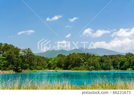 福島縣北尾原村本初沼和西阿祖瑪山初夏的五沼沼自然風景區風景 66231673