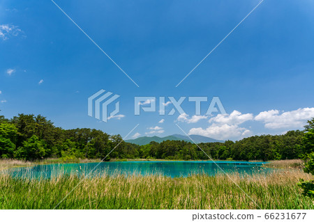 福島縣北尾原村本初沼和西阿祖瑪山初夏的五沼沼自然風景區風景 66231677