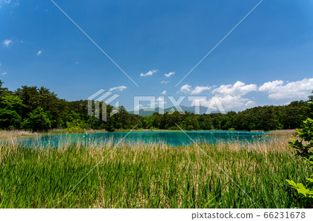 福島縣北尾原村本初沼和西阿祖瑪山初夏的五沼沼自然風景區風景 福島縣北尾原村本初沼和西阿祖瑪山初夏的五沼沼自然風景區風景 66231678