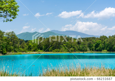 福島縣北尾原村本初沼和西阿祖瑪山初夏的五沼沼自然風景區風景 福島縣北尾原村本初沼和西阿祖瑪山初夏的五沼沼自然風景區風景 66231687