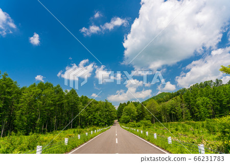 Scenery of Bandai Azuma Lake Line in early summer Blue sky and straight road Inawashiro Town, Fukushima Prefecture Scenery of Bandai Azuma Lake Line in early summer Blue sky and straight road Inawashiro Town, Fukushima Prefecture 66231783