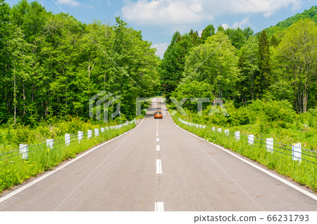 Scenery of Bandai Azuma Lake Line in early summer Blue sky and straight road Inawashiro Town, Fukushima Prefecture Scenery of Bandai Azuma Lake Line in early summer Blue sky and straight road Inawashiro Town, Fukushima Prefecture 66231793