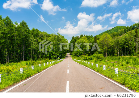 Scenery of Bandai Azuma Lake Line in early summer Blue sky and straight road Inawashiro Town, Fukushima Prefecture 66231796