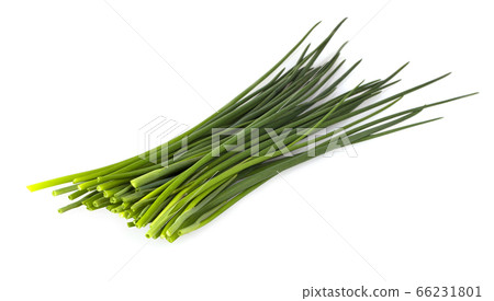 Green onion isolated on the white background 66231801