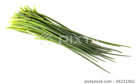 Green onion isolated on the white background Green onion isolated on the white background 66231802