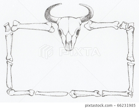 Cow bone decorative border 66231985