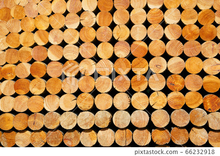 wood wood 66232918