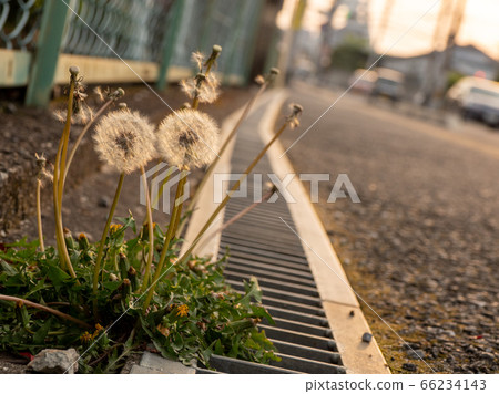 Evening view of PL Tower and Tomitabayashi 66234143
