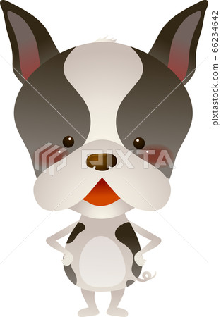 Illustration of Boston Terrier standing in front Illustration of Boston Terrier standing in front 66234642