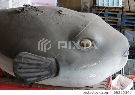 卡拉托市場 卡拉托市場 66235343