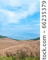 View of mountains and Japanese pampas grass from Kirigamine 66235379