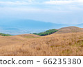 View of mountains and Japanese pampas grass from Kirigamine 66235380