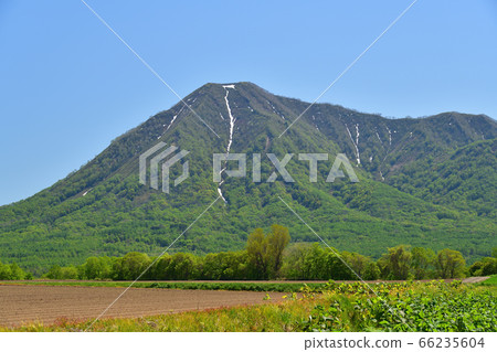 Take a picture of Mt.Shiribetsu in Kyogoku-cho, Hokkaido in early summer 66235604