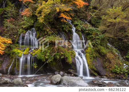 [2019] Yamanashi Prefecture Hokuto City Autumn Fall Waterfall 66236122