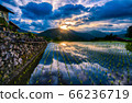 Rice fields in the sky 66236719