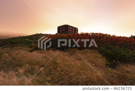 Afternoon morning in the hut 66236725