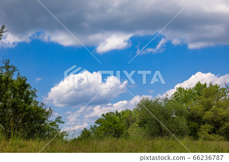 Feather white cloud in the blue sky Feather white cloud in the blue sky 66236787