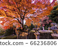 Autumn in a graveyard held by Nishiki 66236806