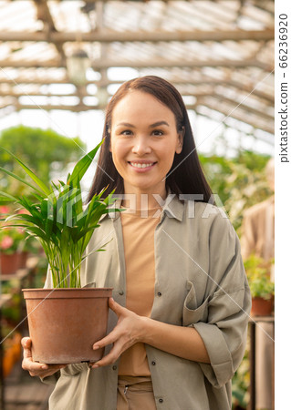 Happy Asian woman with green plant in pot 66236920