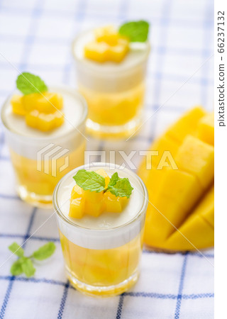 Thai dessert mango pudding, ripe mango dip in agar and coconut milk jelly on top  in the glass decorated with mint leaf 66237132