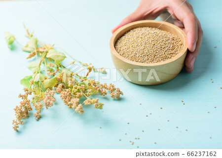 Raw brown quinoa seed in bowl holding by hand, Healthy food Raw brown quinoa seed in bowl holding by hand, Healthy food 66237162