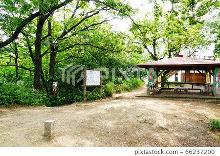 金杉山峰 66237200